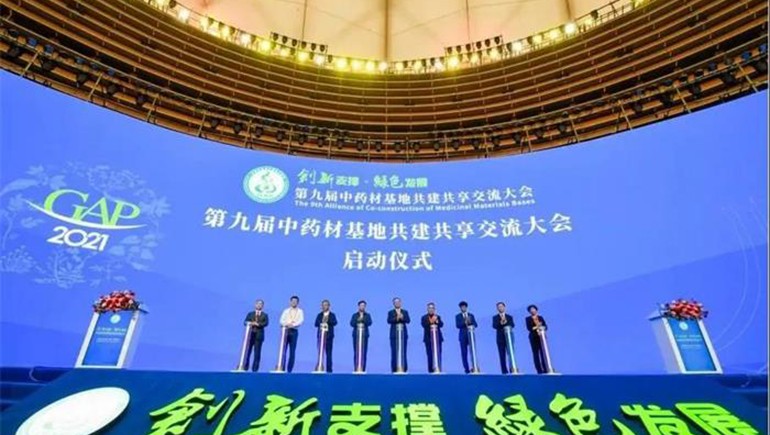 第九屆中藥材基地共建共享交流大會(huì)在南寧召開(kāi)，聯(lián)盟主席張伯禮院士蒞臨隴西奇正展臺(tái)了解隴藥隴企