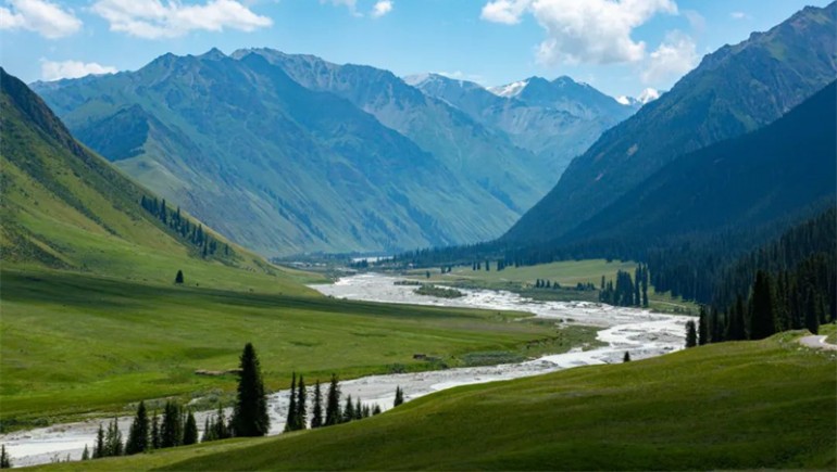 公司治理獲高度認(rèn)可！奇正藏藥入選中上協(xié)“最佳實踐案例”